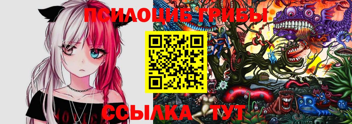 Галлюциногенные грибы Psilocybe  Вход с VPN  Кунгур  Галлюциногенные грибы MAGIC MUSHROOMS 